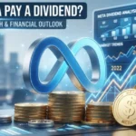 does meta pay a dividend